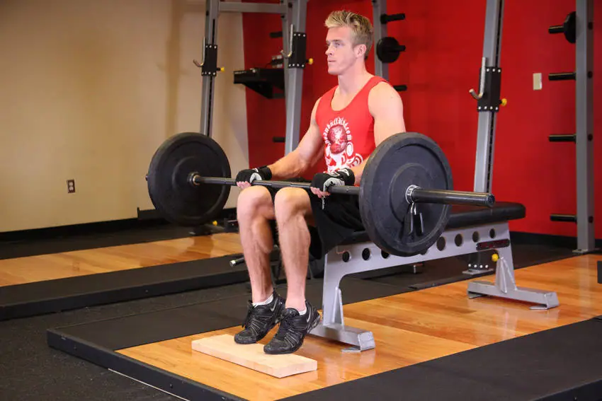 Barbell Seated Calf Raise — posisi akhir