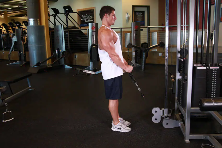 Cable Hammer Curls - Rope Attachment — posisi awal