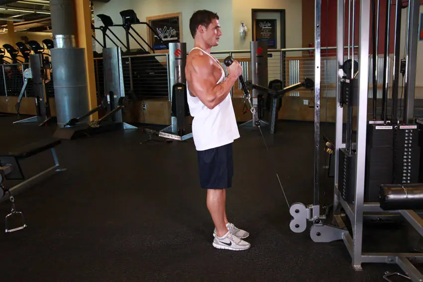 Cable Hammer Curls - Rope Attachment — posisi akhir