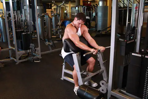 Cable Preacher Curl