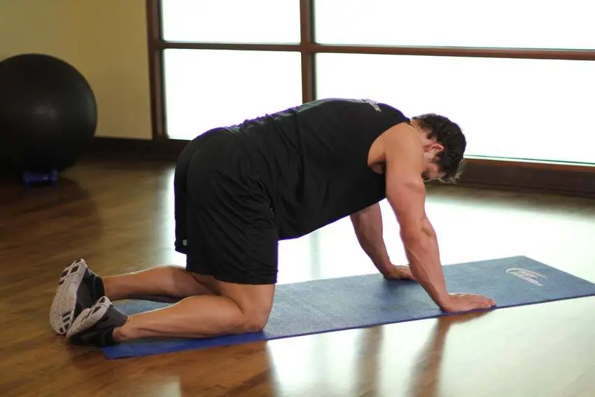 Cat Stretch — posisi awal