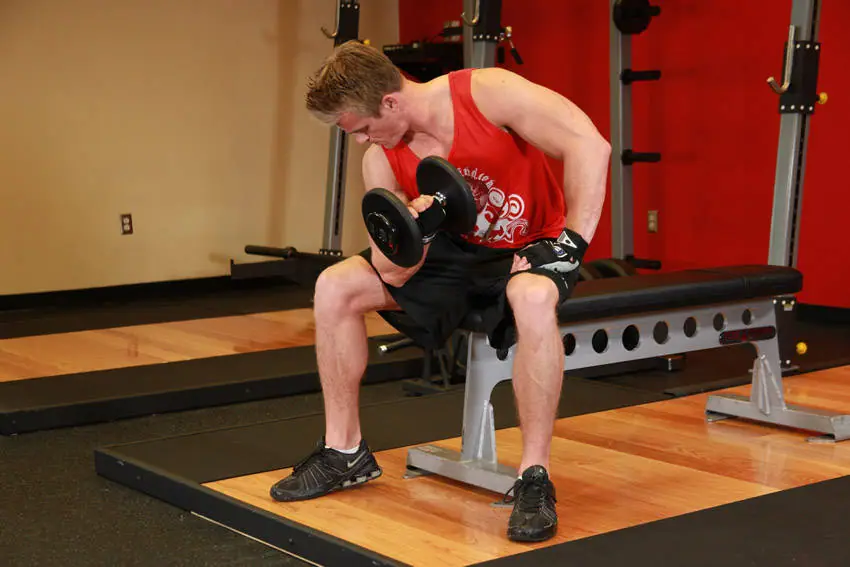 Concentration Curls — posisi akhir
