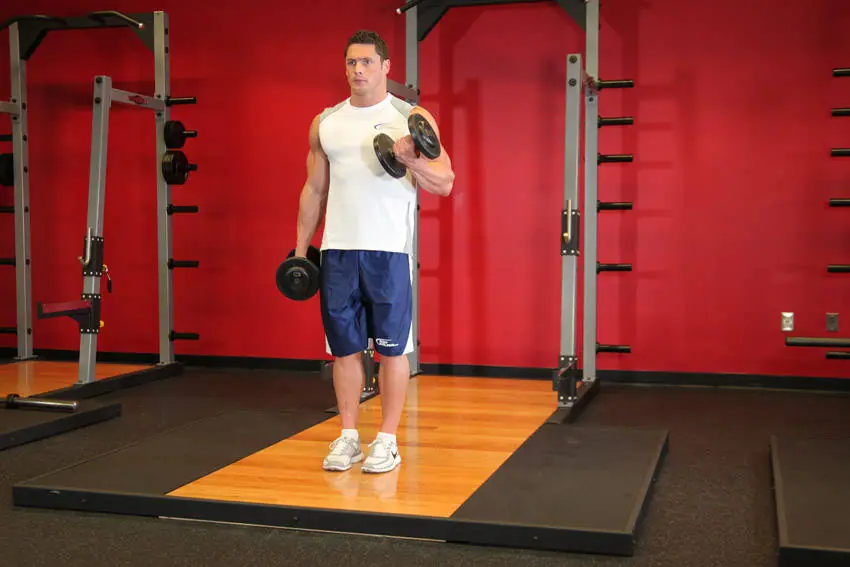 Dumbbell Alternate Bicep Curl — posisi akhir