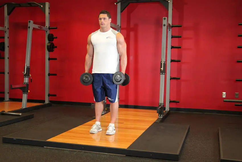 Dumbbell Bicep Curl — posisi awal