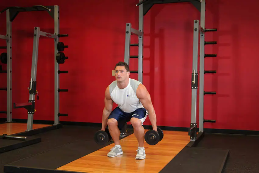Dumbbell Squat — posisi akhir