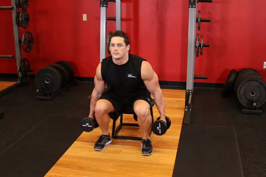 Dumbbell Squat To A Bench — posisi akhir