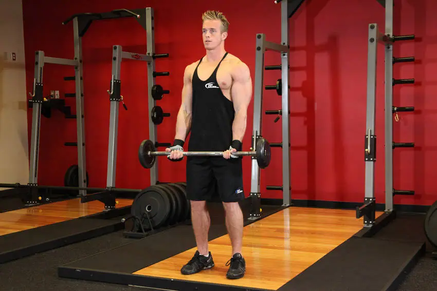 EZ-Bar Curl — posisi awal