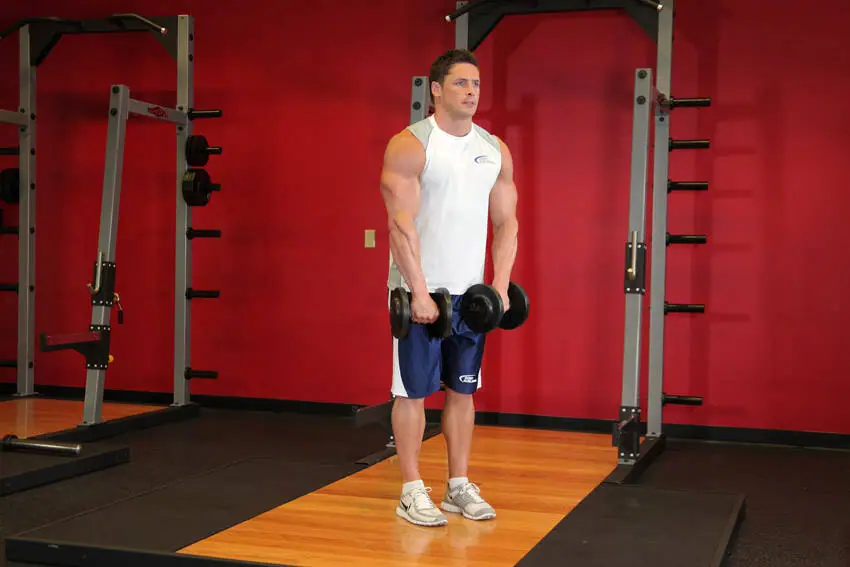 Front Dumbbell Raise — posisi awal