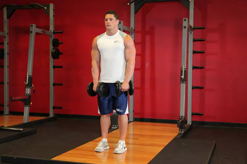 Front Two-Dumbbell Raise — posisi awal
