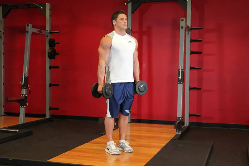 Hammer Curls — posisi awal