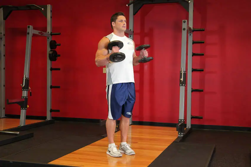 Hammer Curls — posisi akhir