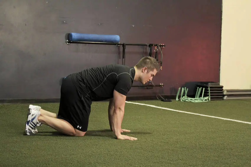 Hip Circles (prone) — posisi awal