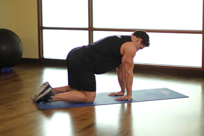 Kneeling Forearm Stretch — posisi awal