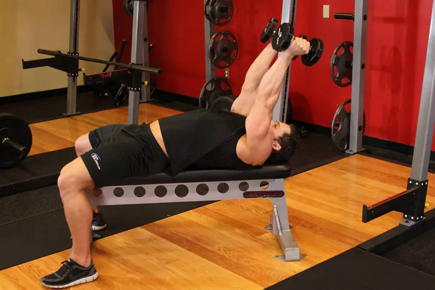 Lying Dumbbell Tricep Extension — posisi akhir