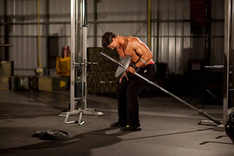 One-Arm Long Bar Row — posisi akhir