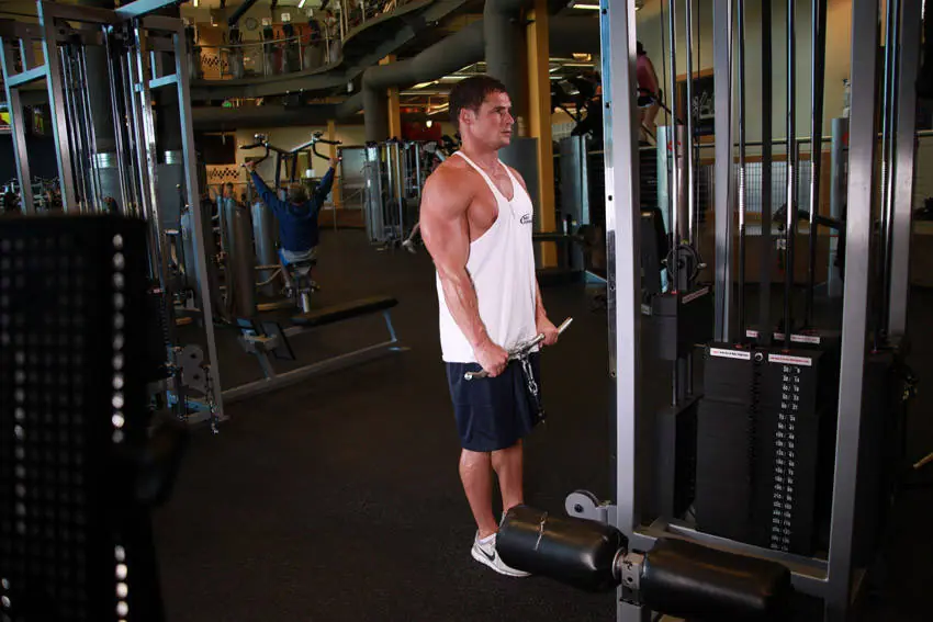 Reverse Cable Curl — posisi akhir