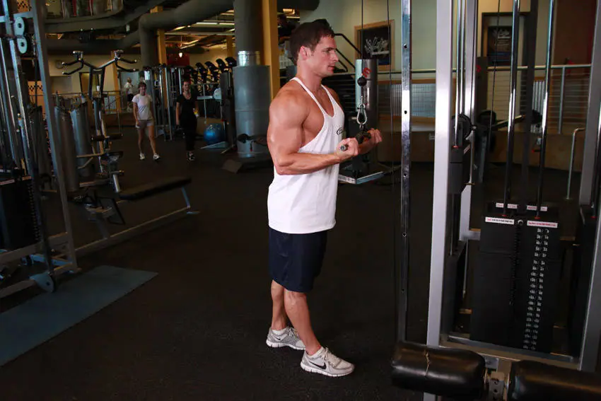 Reverse Grip Triceps Pushdown — posisi awal