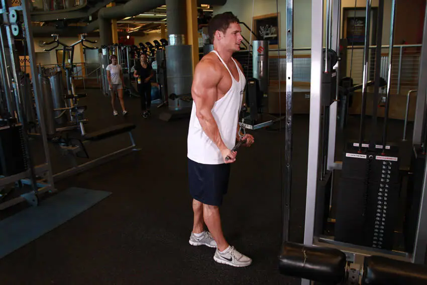 Reverse Grip Triceps Pushdown — posisi akhir