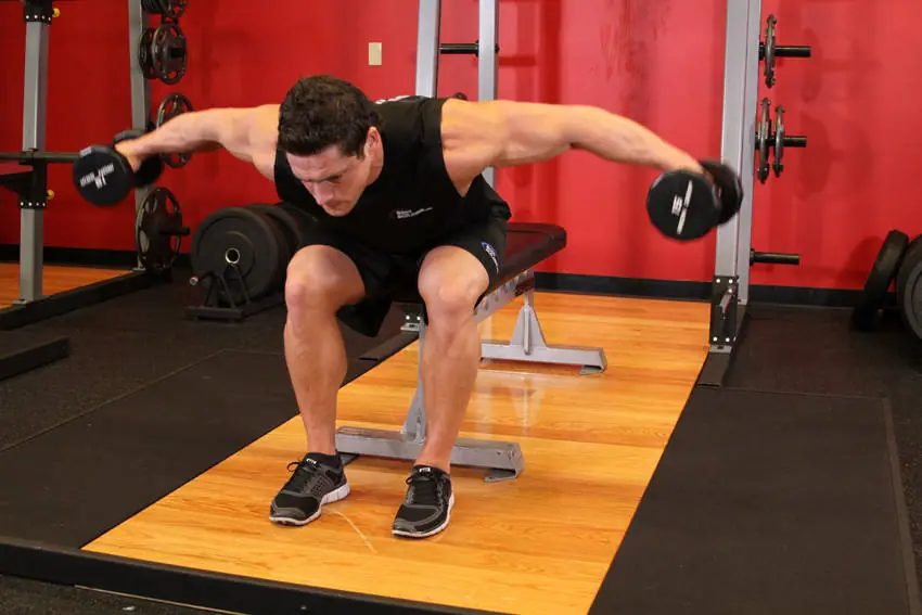 Seated Bent-Over Rear Delt Raise — posisi akhir