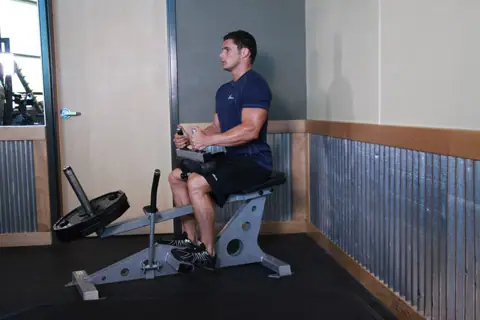 Seated Calf Raise