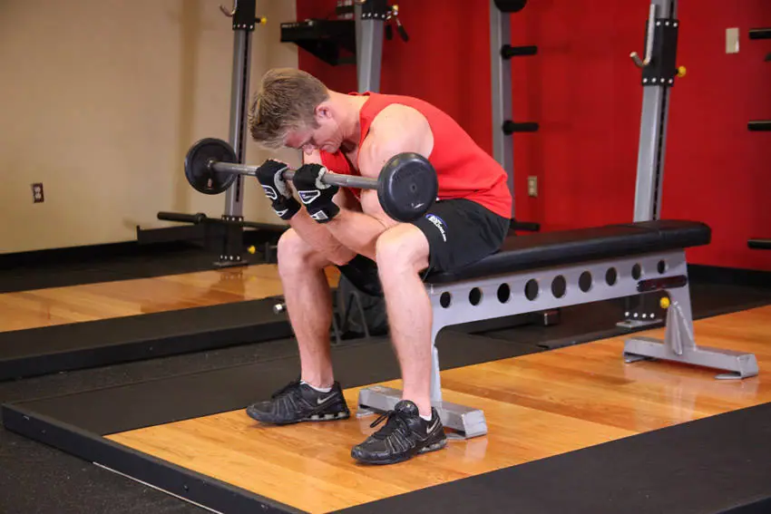 Seated Close-Grip Concentration Barbell Curl — posisi akhir
