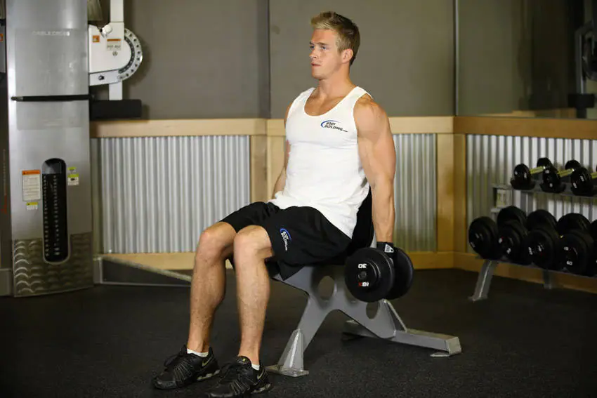 Seated Dumbbell Curl — posisi awal