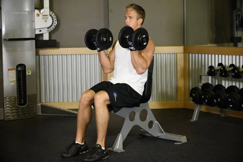 Seated Dumbbell Curl — posisi akhir