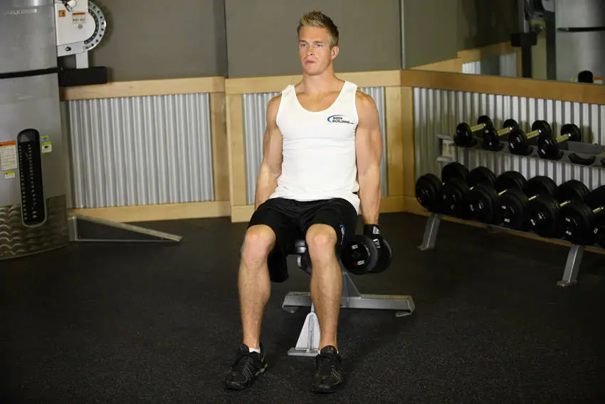 Seated Dumbbell Inner Biceps Curl — posisi awal