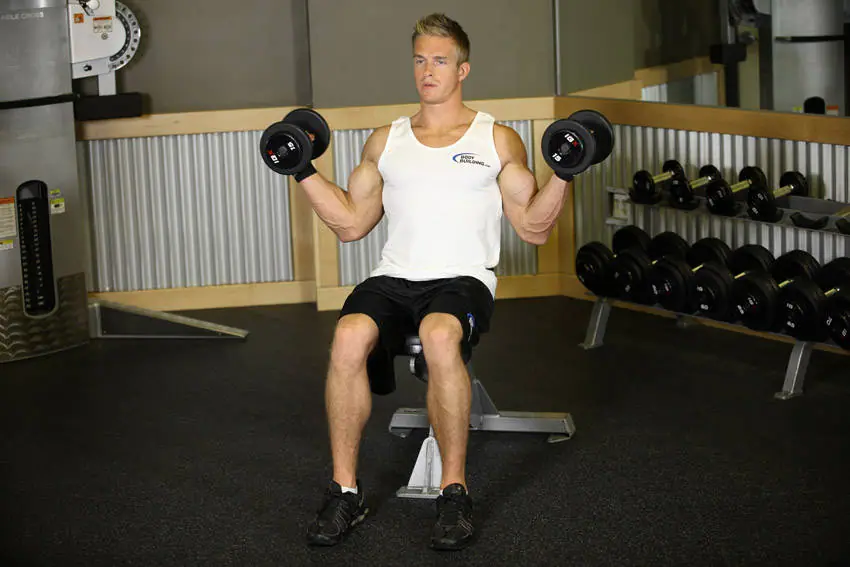 Seated Dumbbell Inner Biceps Curl — posisi akhir