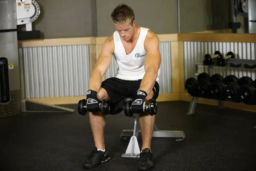 Seated Dumbbell Palms-Down Wrist Curl — posisi awal