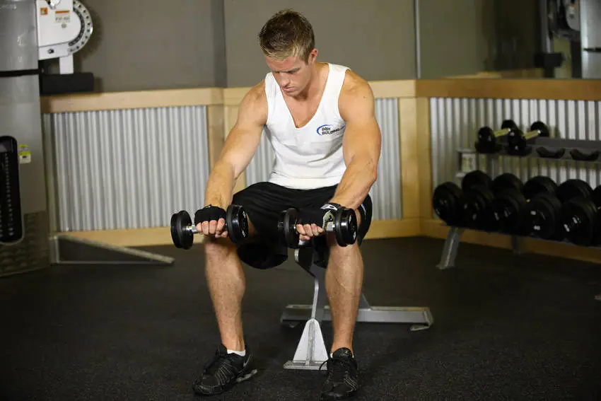 Seated Dumbbell Palms-Down Wrist Curl — posisi akhir