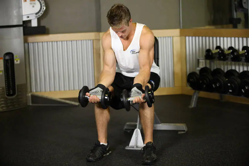 Seated Dumbbell Palms-Up Wrist Curl — posisi awal