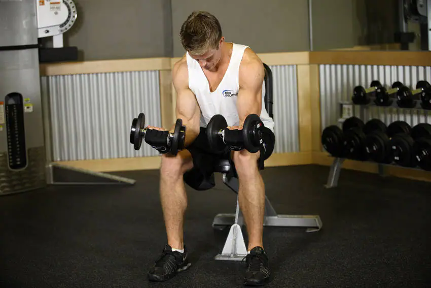 Seated Dumbbell Palms-Up Wrist Curl — posisi akhir