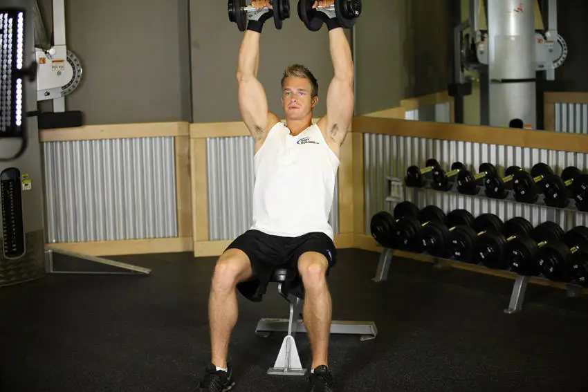 Seated Dumbbell Press — posisi awal