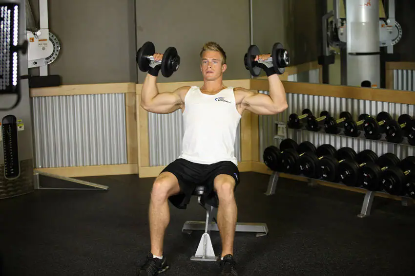 Seated Dumbbell Press — posisi akhir