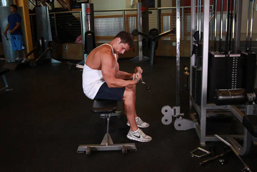 Seated Two-Arm Palms-Up Low-Pulley Wrist Curl — posisi akhir