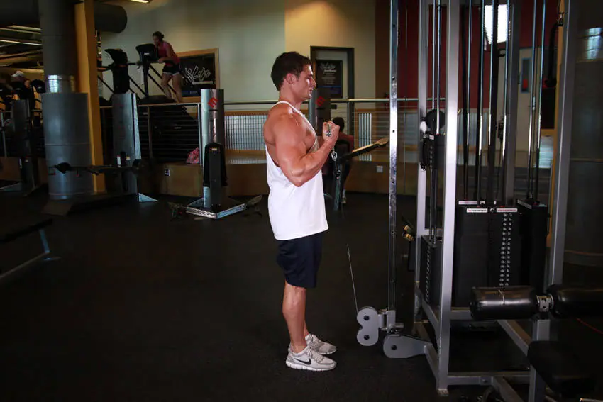 Standing Biceps Cable Curl — posisi akhir