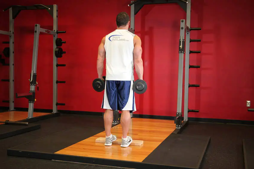 Standing Dumbbell Calf Raise — posisi awal