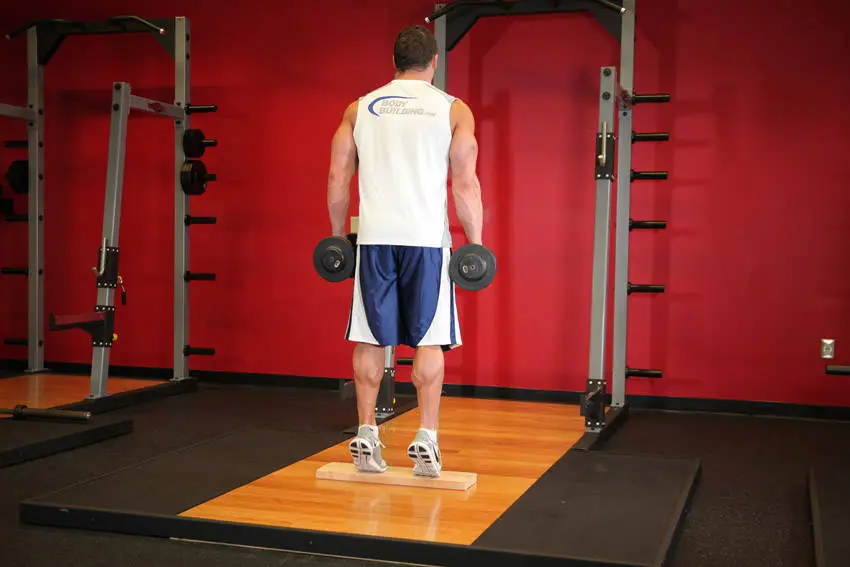 Standing Dumbbell Calf Raise — posisi akhir