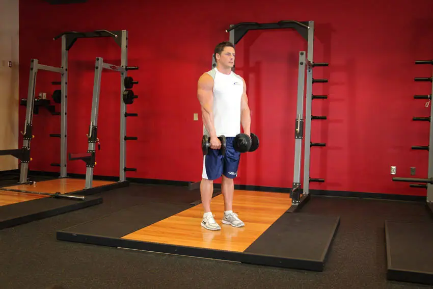 Standing Dumbbell Reverse Curl — posisi awal