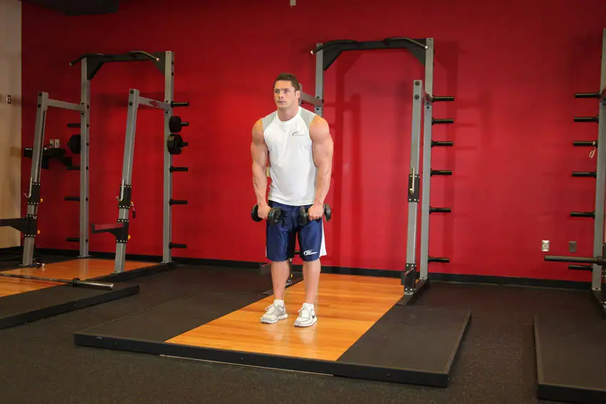 Standing Dumbbell Straight-Arm Front Delt Raise Above Head — posisi awal