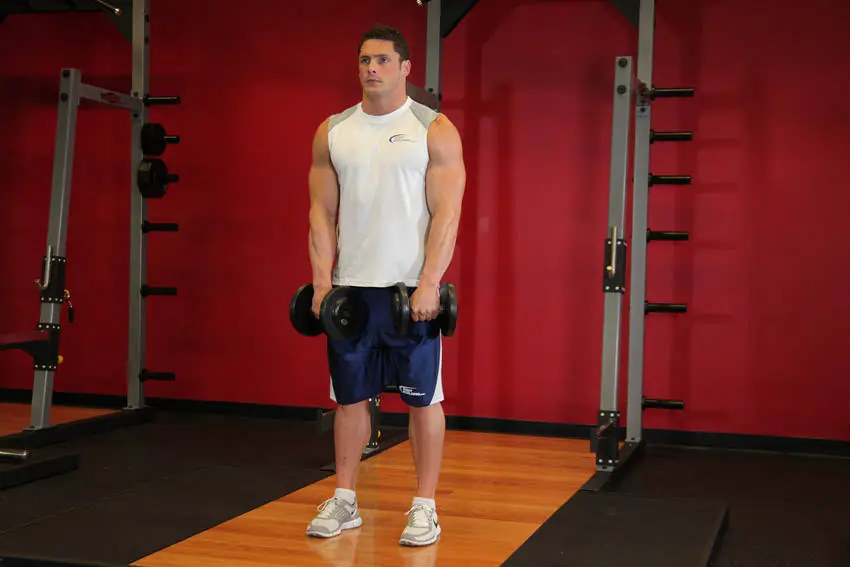 Standing Dumbbell Upright Row — posisi akhir