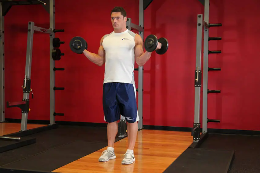 Standing Inner-Biceps Curl — posisi akhir