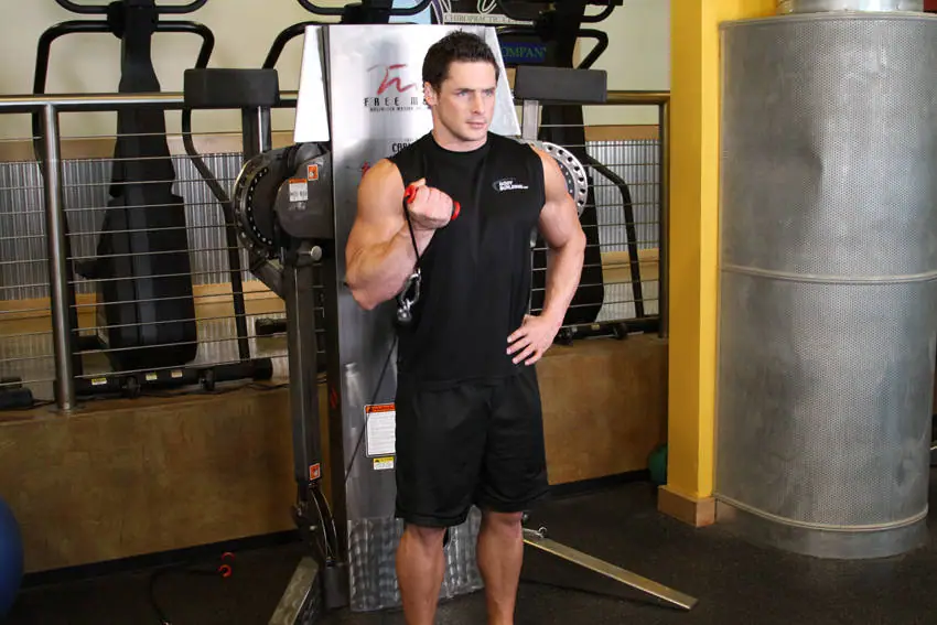 Standing One-Arm Cable Curl — posisi akhir