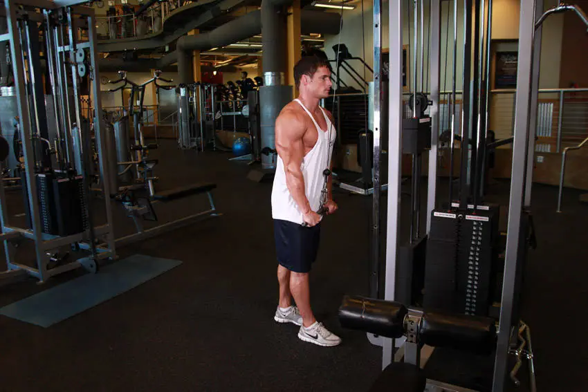 Triceps Pushdown — posisi akhir
