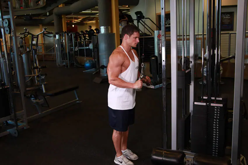 Triceps Pushdown - V-Bar Attachment — posisi awal