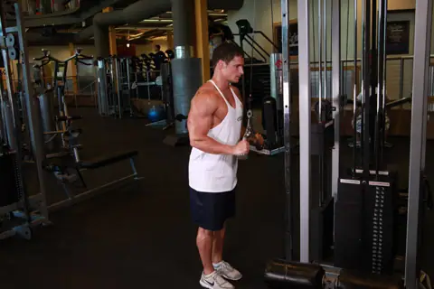 Triceps Pushdown - V-Bar Attachment