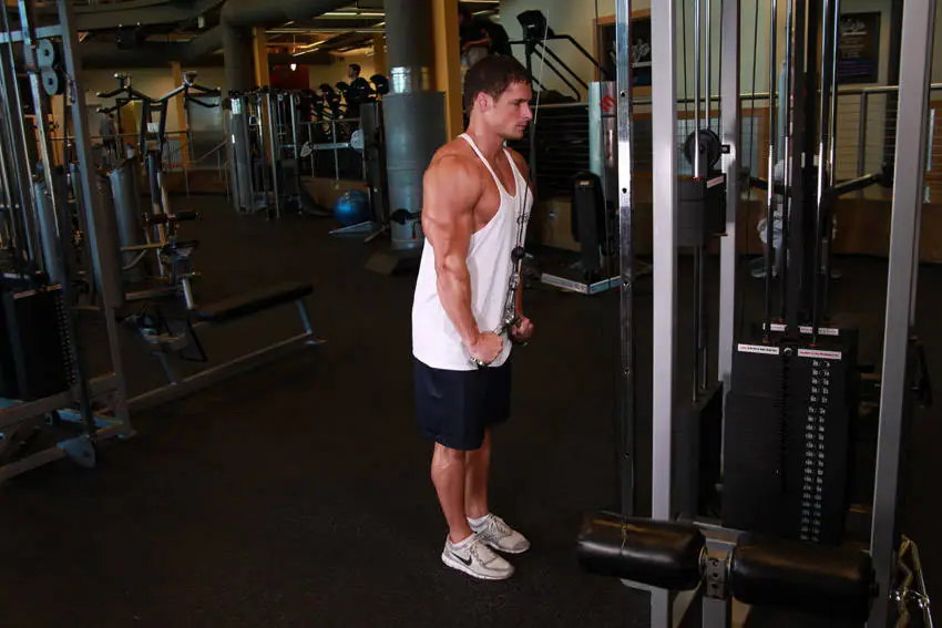 Triceps Pushdown - V-Bar Attachment — posisi akhir